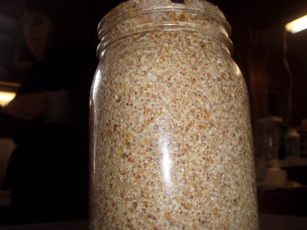 Quinoa Sourdough Starter - Purposeful Nutrition